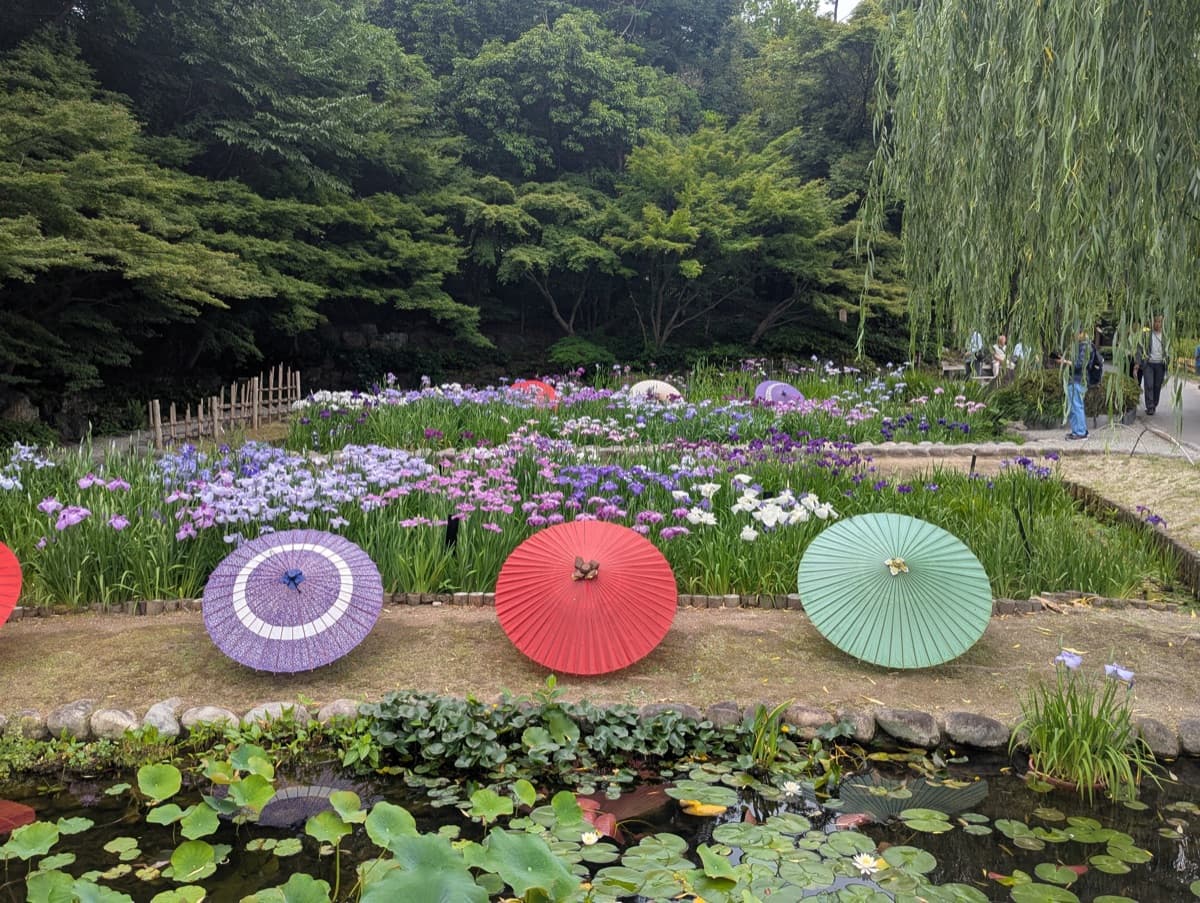 Le Jardin et le Musée Tokugawa : au cœur de l'histoire du Japon féodal